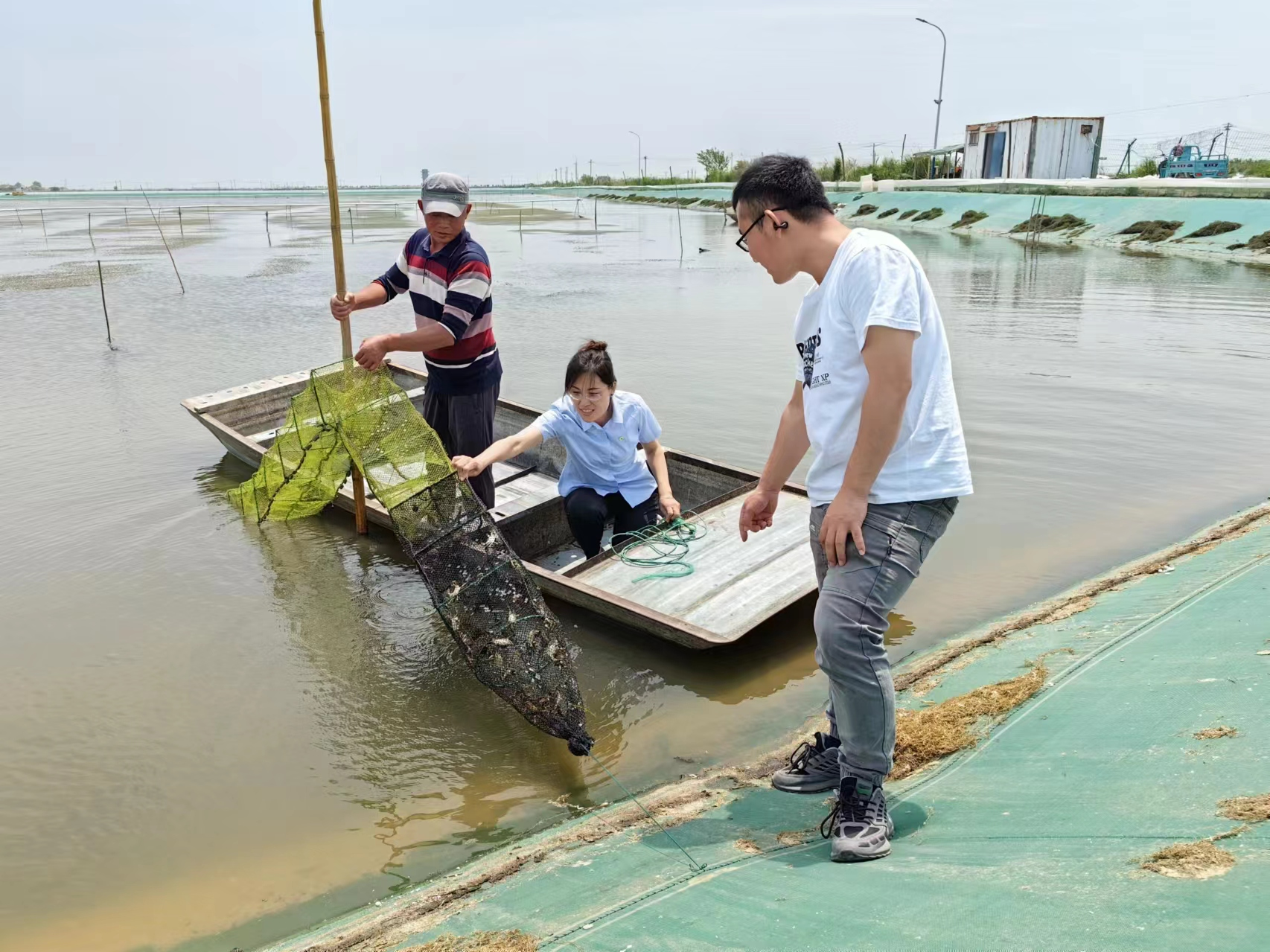 筑起黄河口大闸蟹风险“防火墙”——中国人寿财险护航黄河流域特色产业高质量发展(图3)