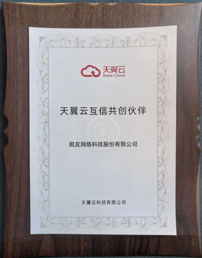 出席第七届数字中国建设峰会用友获2024天翼云互信共创伙伴(图2)