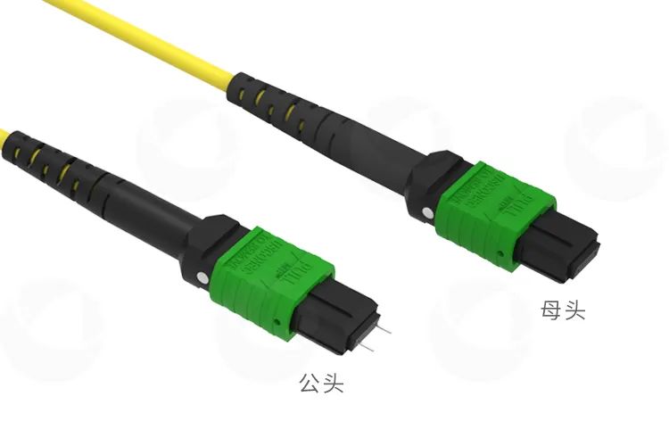 MTP®MPO主干光纤跳线：高密度网络的优选方案(图2)