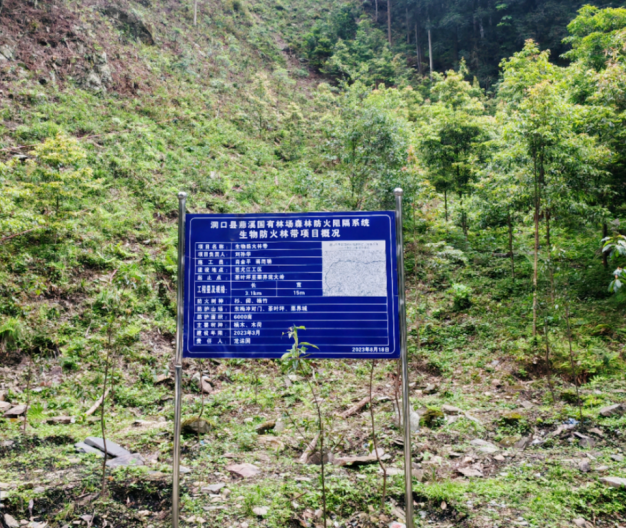 湖南洞口：修建生物防火林带守护青山(图2)