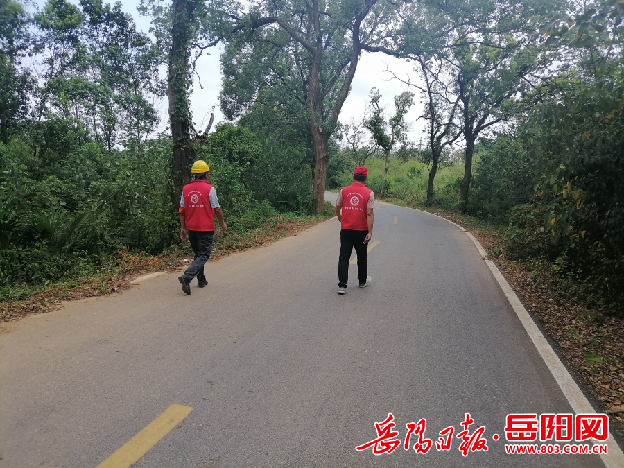 屈原管理区凤凰乡：护林人员巡林忙筑牢森林“防火墙”(图3)