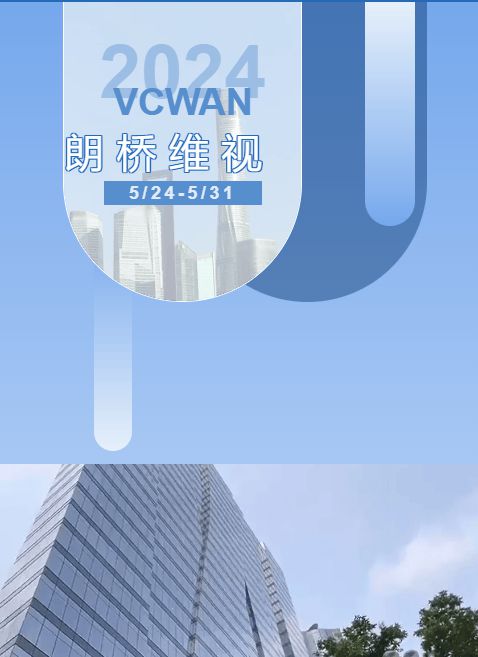 VCWAN智能组网：打造国际高效安全网络环境(图2)