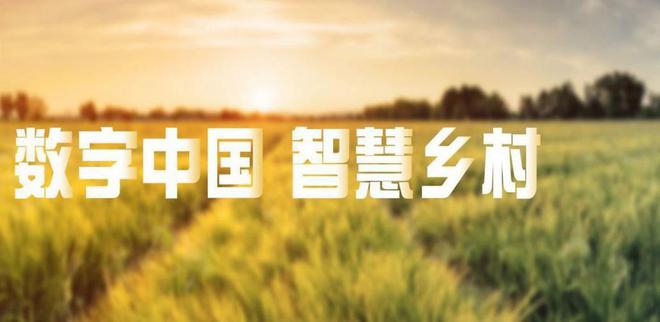 数字乡村建设：贫困山区的互联网解决方案(图3)
