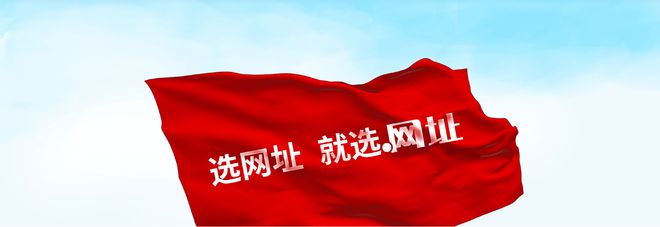 京客网：中文域名（中文网址域名）构建企业网络品牌保护生态圈(图3)