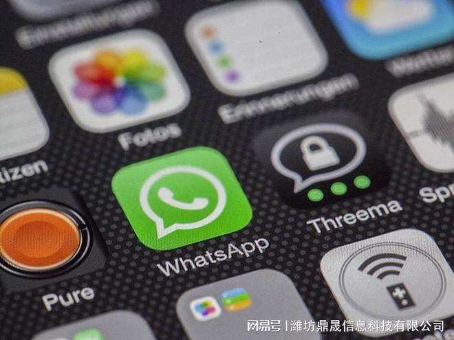 潍坊教育网站开发方案(图1)