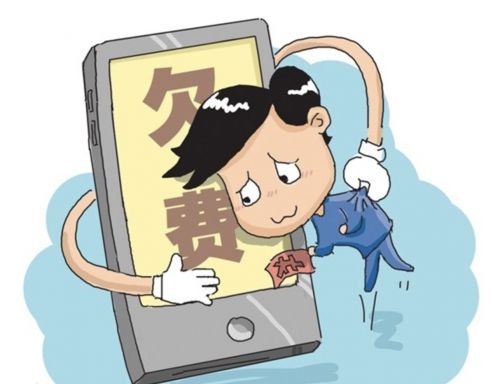 零碳联盟网站停网事件：欠费风波引发外界关注(图1)