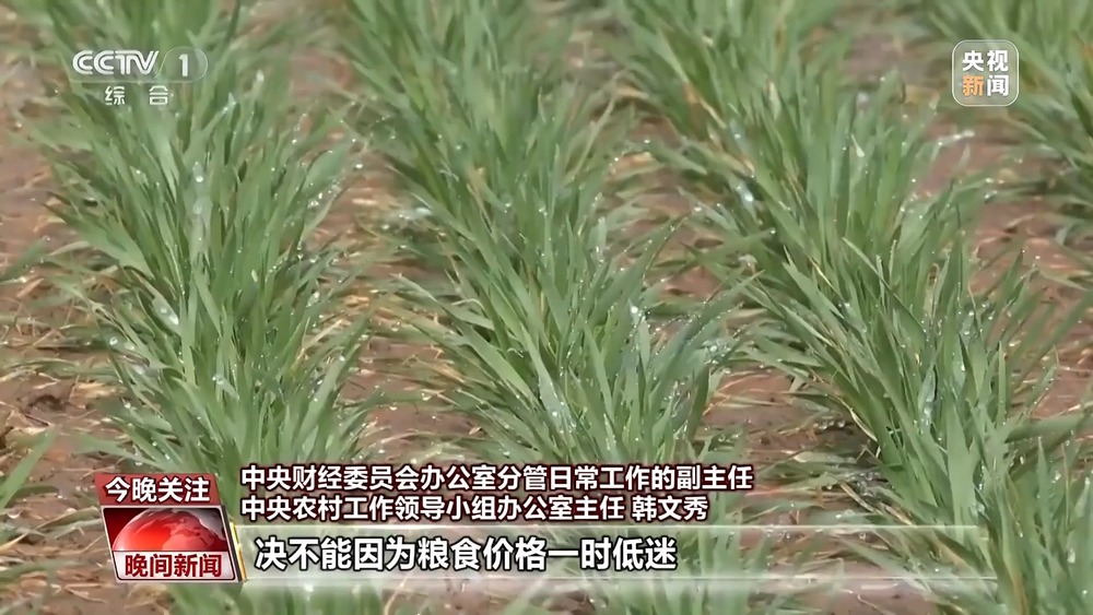 粮食生产能否“松一松”？帮扶政策是否会“急刹车”？解读中央一号文件(图1)