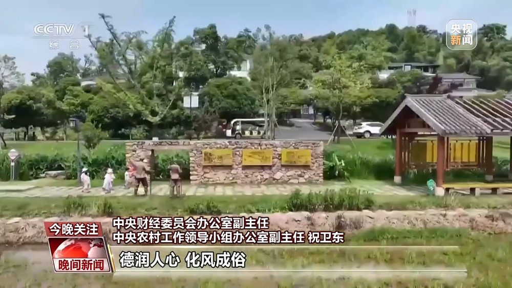 粮食生产能否“松一松”？帮扶政策是否会“急刹车”？解读中央一号文件(图2)