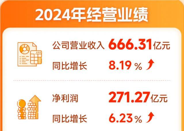 “优等生”亮出2024质效齐升成绩单宁波银行企稳发展新阶段(图3)