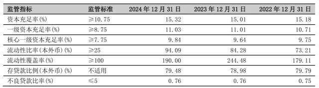 “优等生”亮出2024质效齐升成绩单宁波银行企稳发展新阶段(图5)