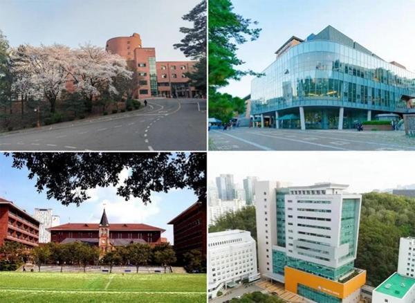 2025年韩国加图立大学2年制双语授课硕士申请指南(图2)