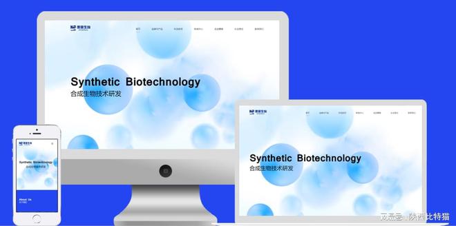 西安网站制作案例解析：成功网站背后的秘密(图3)