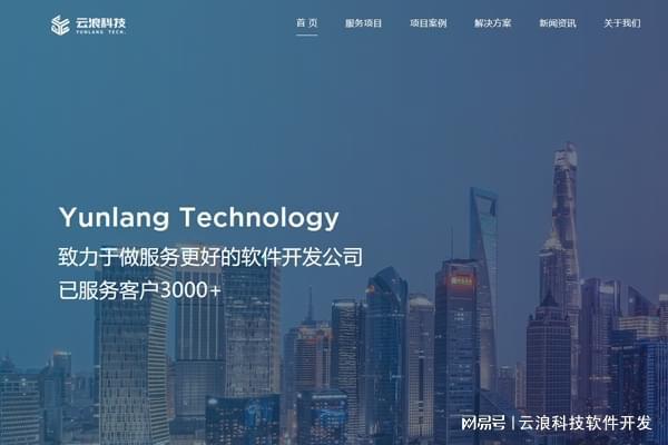 2025年国内高端网站建设公司精选及优秀公司推荐(图3)