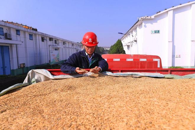 中国建成七大应急粮仓“大争之世”已到中美交锋再无后顾之忧(图11)