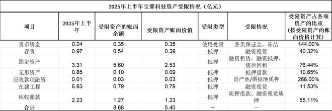 更换审计所遭独董质疑宝馨科技年报关口过得去吗?(图4)