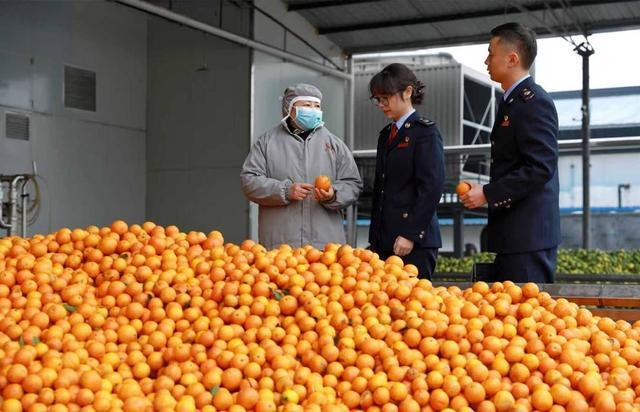 从发票管理到内控升级税务合规为四川农业注入发展动能(图2)