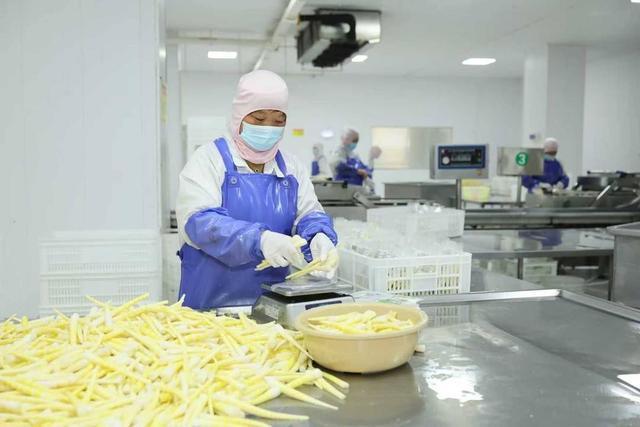 从发票管理到内控升级税务合规为四川农业注入发展动能(图3)