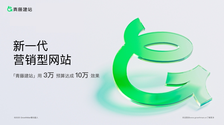 2026年度国内网站搭建公司甄选：十家建站服务商实力解析(图2)