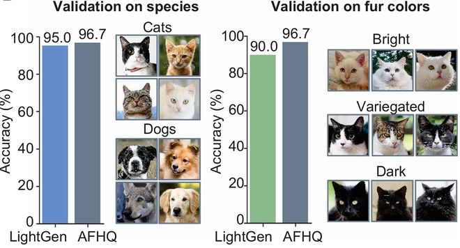 上海交大全光AI芯片登Science！比A100快百倍(图9)