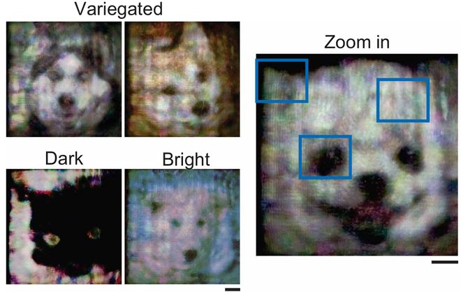 上海交大全光AI芯片登Science！比A100快百倍(图8)