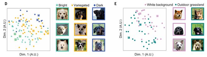 上海交大全光AI芯片登Science！比A100快百倍(图7)