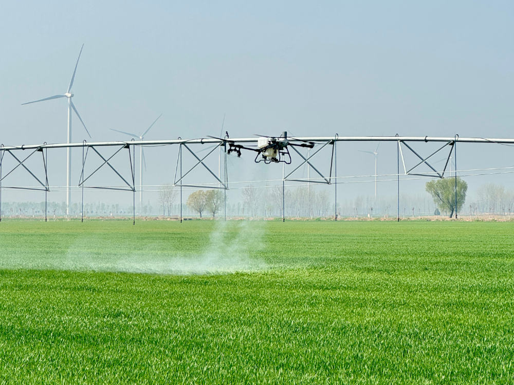 “豫”见数智可中！(图1)